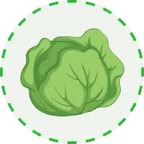 提供全方位的体育博彩体验 - FB体育