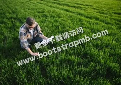 探索体育的魅力 - FB体育
