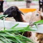 探索体育的魅力 - FB体育