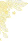 200+ - FB体育