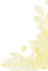 200+ - FB体育